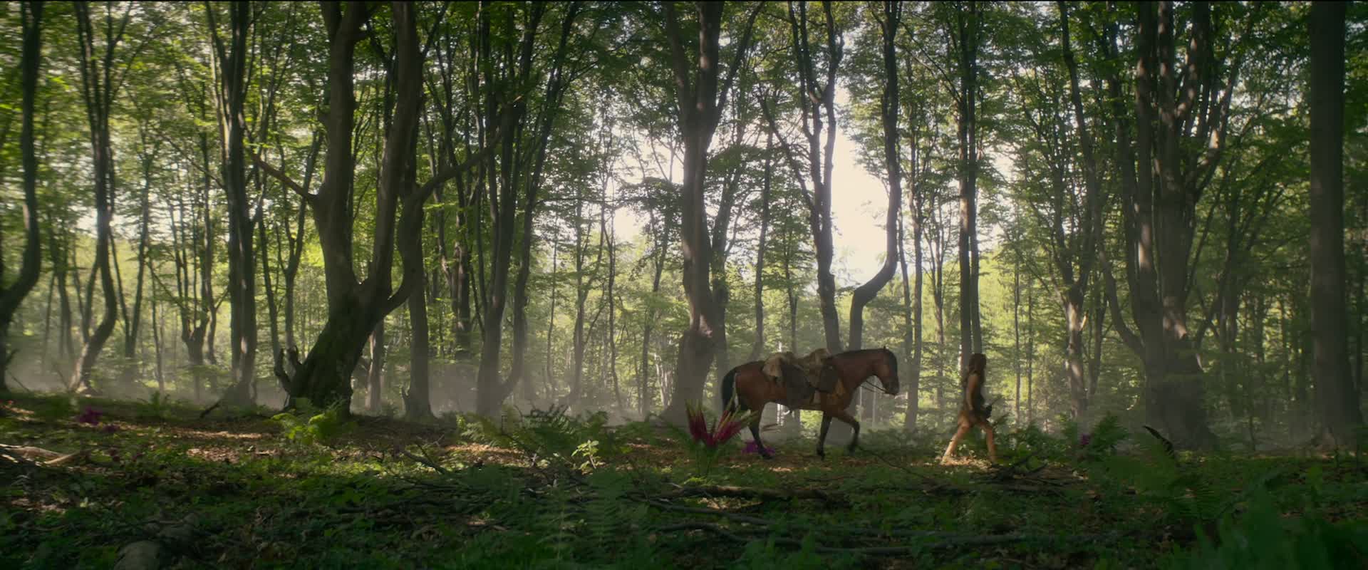 RedSonja20251080p10bitWEBRip6CHX265HEVCPSAmkv08242025221158-001 Red Sonja (2025) 1080p 10bit WEBRip 6CH X265 HEVC-PSA