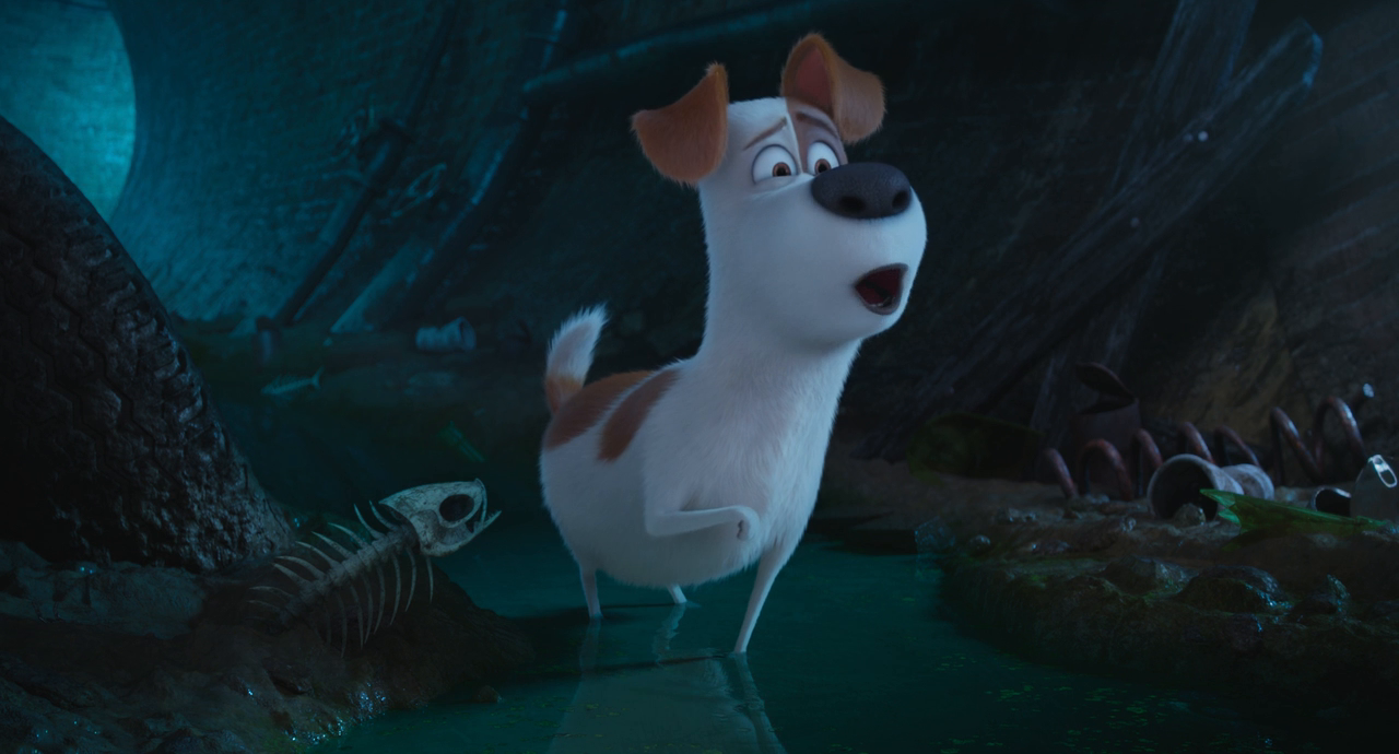 64 Bitrate Download The Secret Life of Pets 2016 720p DUAL BluRay x264 AC3 5 1 ...