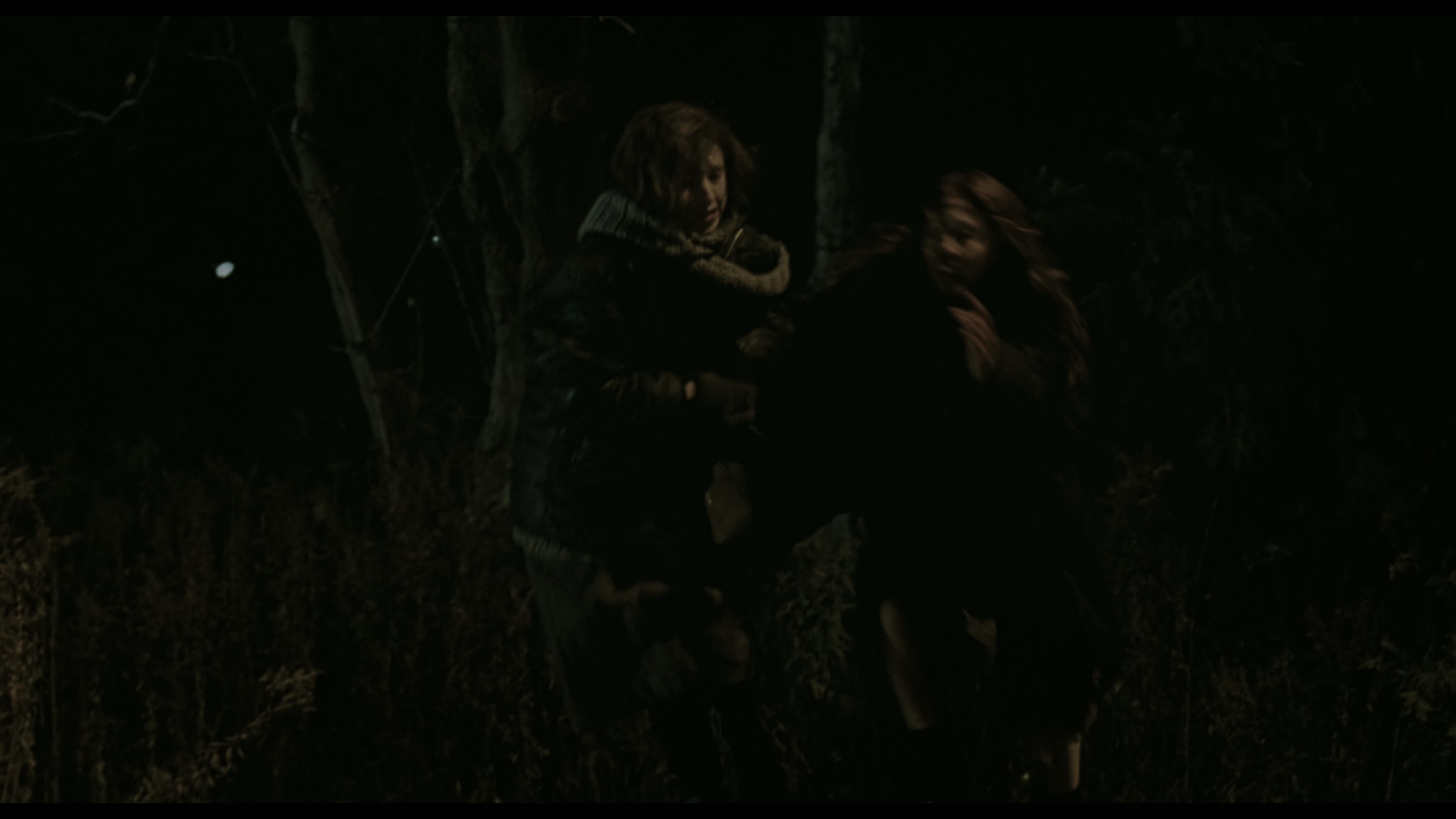 GingerSnaps20002160pUHDBlurayREMUXHEVCAtmosTrueHD71HDHmkv05242026084111-002.jpg