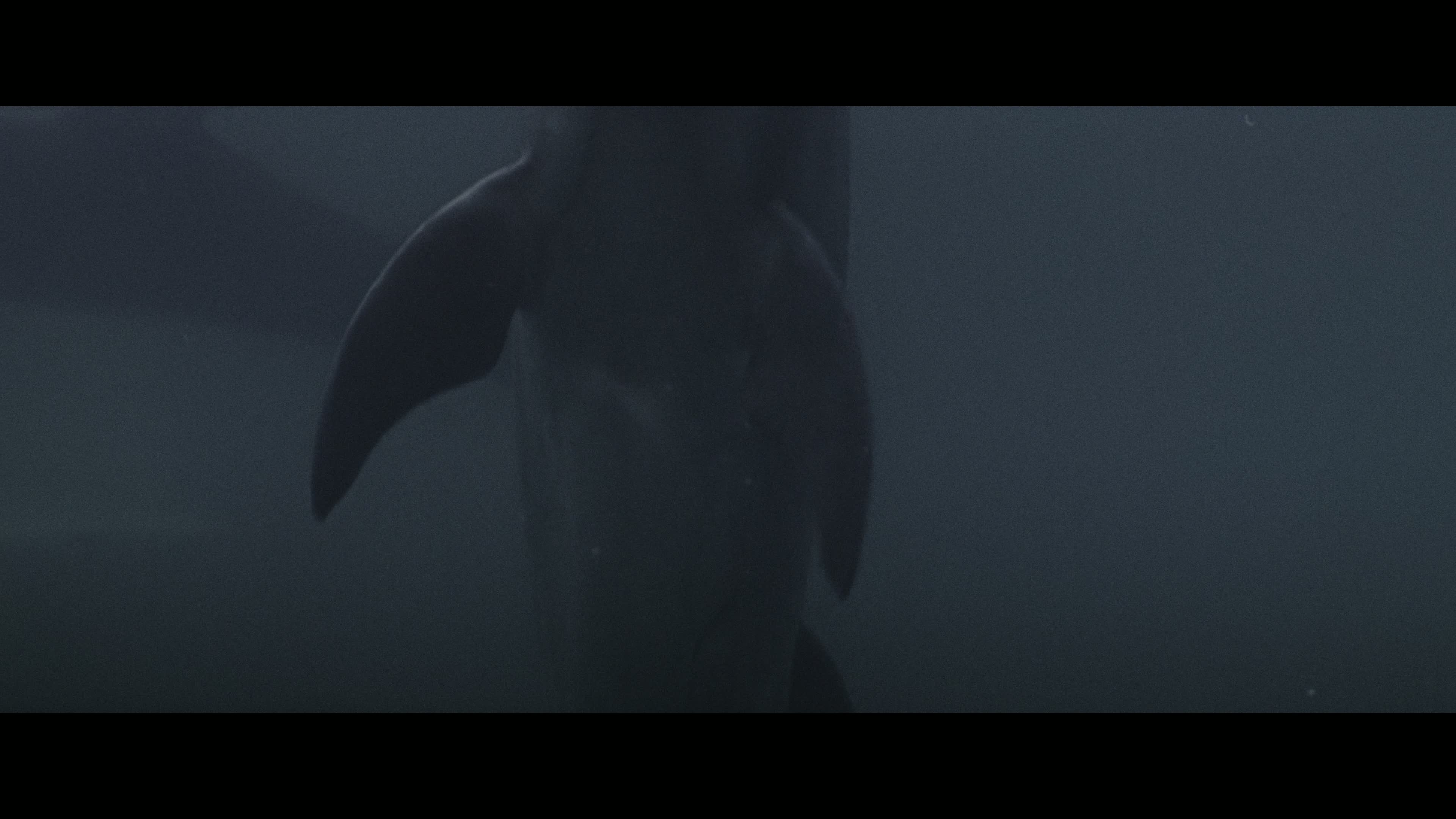 Jaws3D1983UHDBluRay2160pTrueHDAtmos71DVHDR10PHEVCHYBRIDREMUXFraMeSToRmkv06062026140941-003.jpg