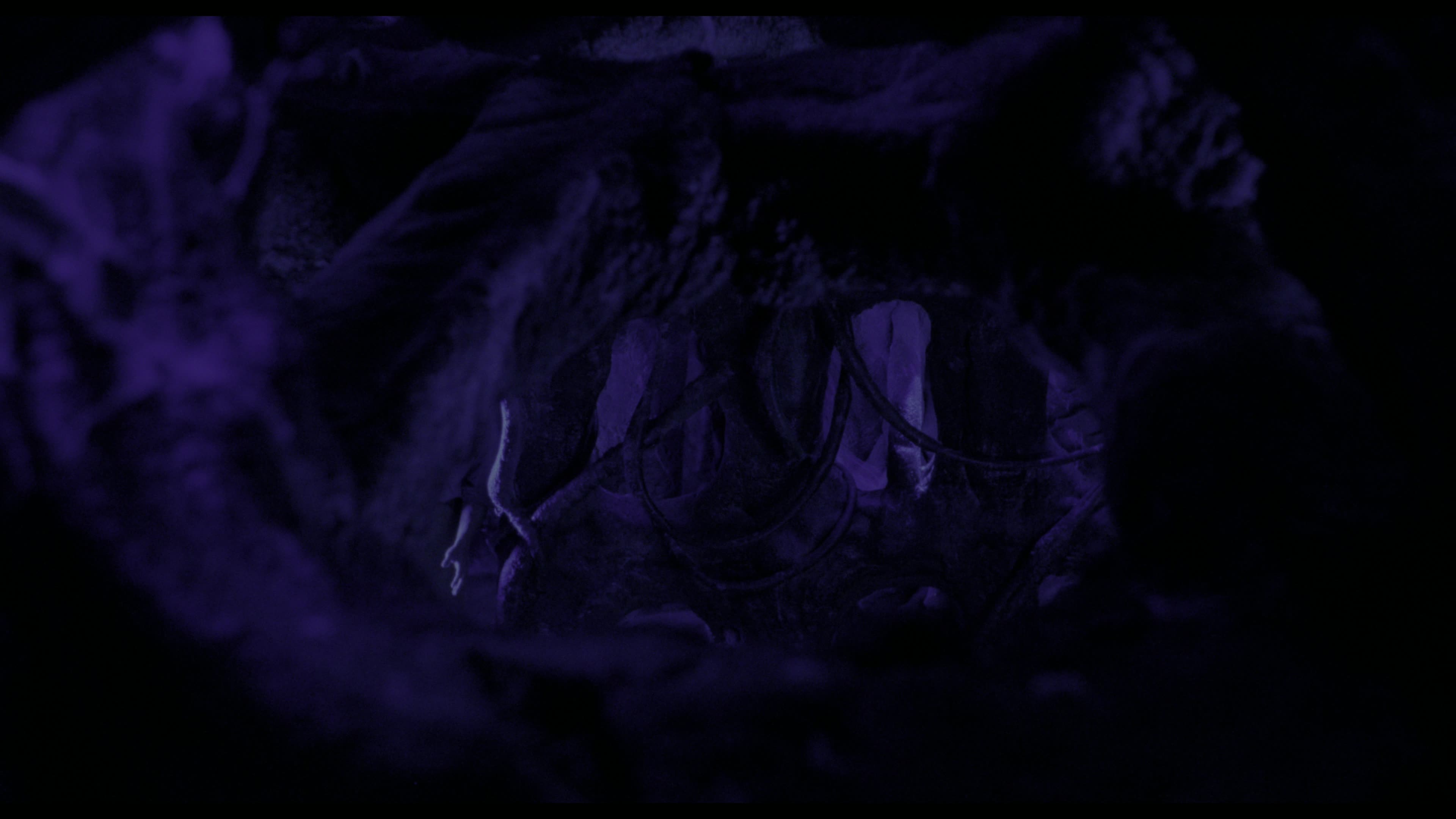 MortalKombat19952160pUHDBlurayRemuxDVHDRHEVCDTSHDMA51CiNEPHiLESmkv06162026034134-003.jpg