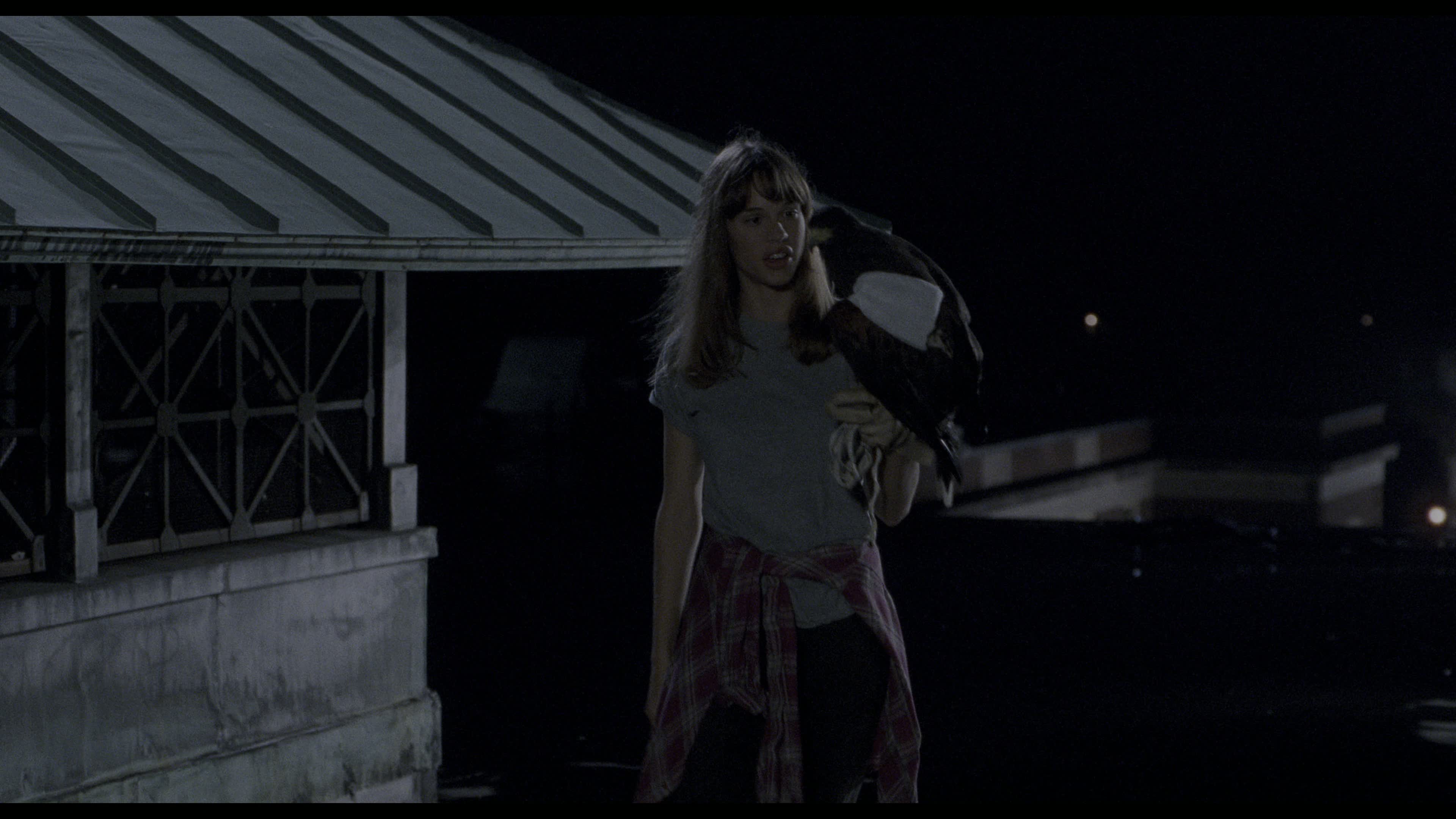 TheNextKarateKid1994UHDBluRay2160pTrueHDAtmos71DVHEVCREMUXFraMeSToRmkv06052026234211-001.jpg