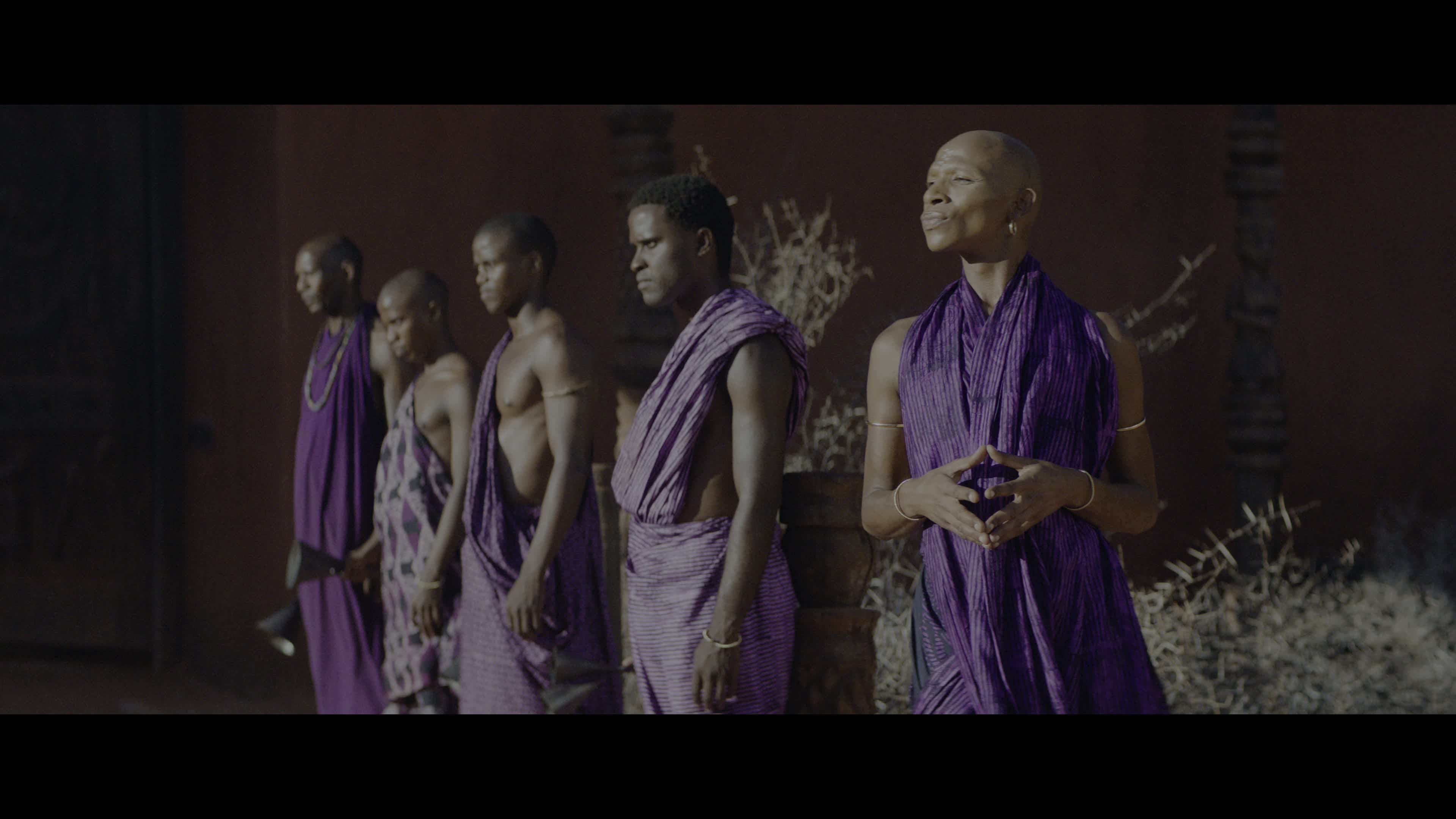TheWomanKing2022UHDBluRay2160pTrueHDAtmos71DVHDR10PHEVCHYBRIDREMUXFraMeSToRmkv06082026054301-001.jpg