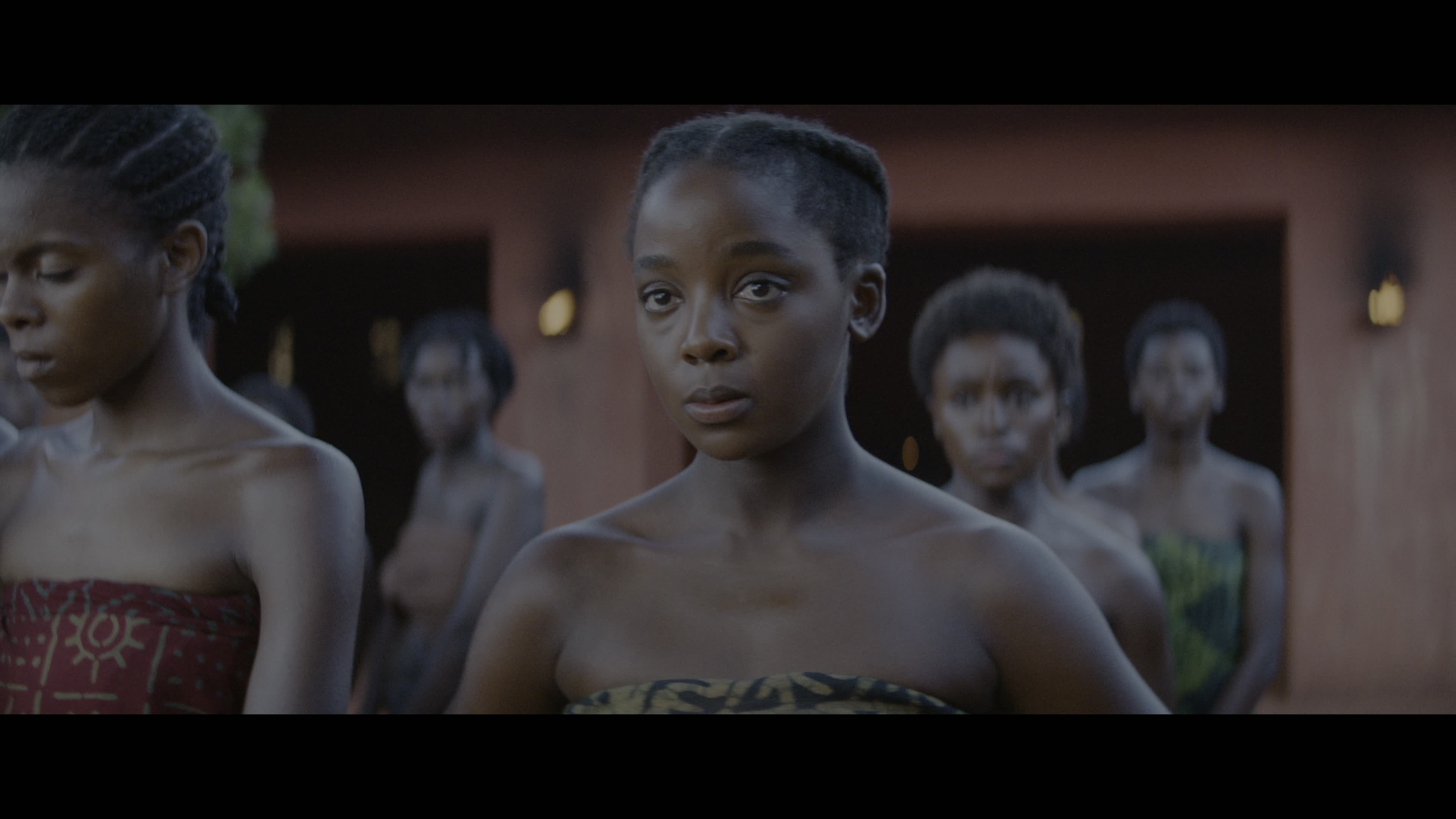 TheWomanKing2022UHDBluRay2160pTrueHDAtmos71DVHDR10PHEVCHYBRIDREMUXFraMeSToRmkv06082026054301-002.jpg